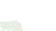 Mask-Group-74